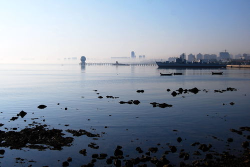 楼房风水属狗大海水