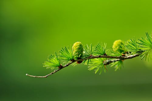 孩子抗病毒最好的药物