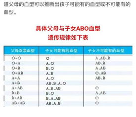 亲生子女血型对比表