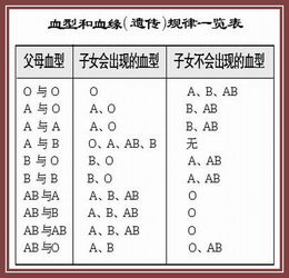 abo血型亚型名词解释