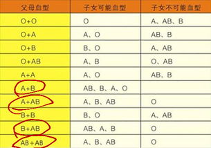 生理实训报告血型