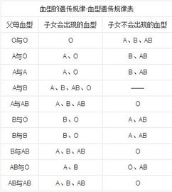 o与a型生成什么血型