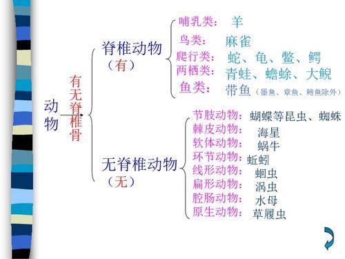 第二章血液名词解释血型