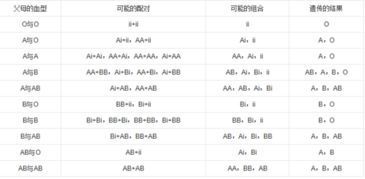 o血型和ab血型怎么样