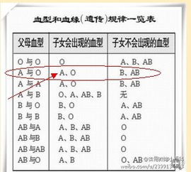 血型父亲a型母亲b型