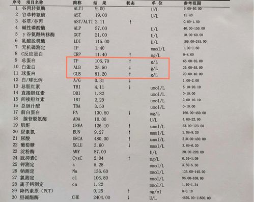 abo血型能做正反定型吗