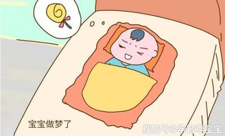 是不是睡眠充足才会做梦