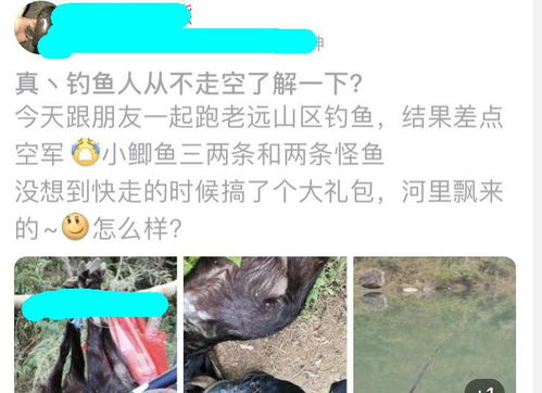 做梦钓鱼钓了头羊